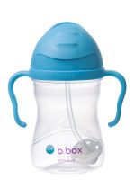 501 blueberry sippy cup 01 Large