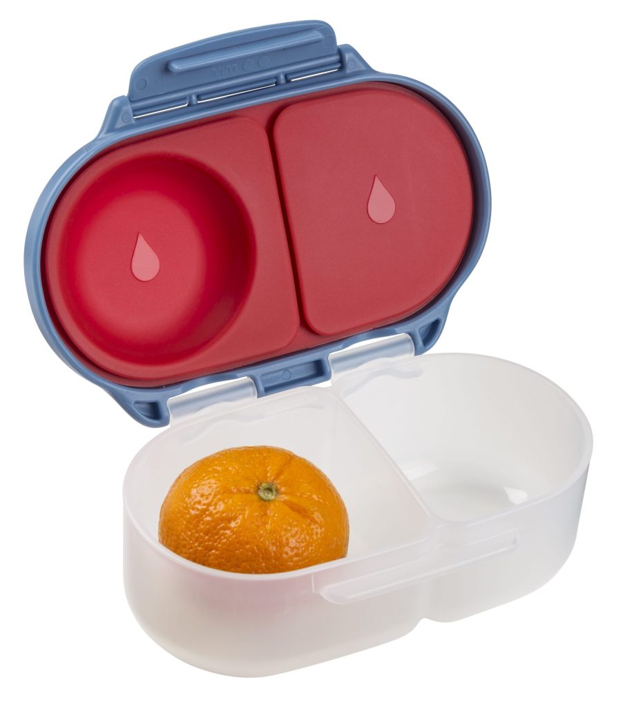 Blue Blaze Snackbox 4