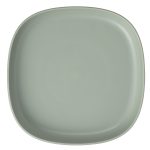 Divided Suction Plate Sage 1B