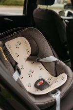 AL 0 CHS Cherries Lifestyle carseat 1