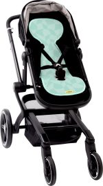 AL B CC buggy 2