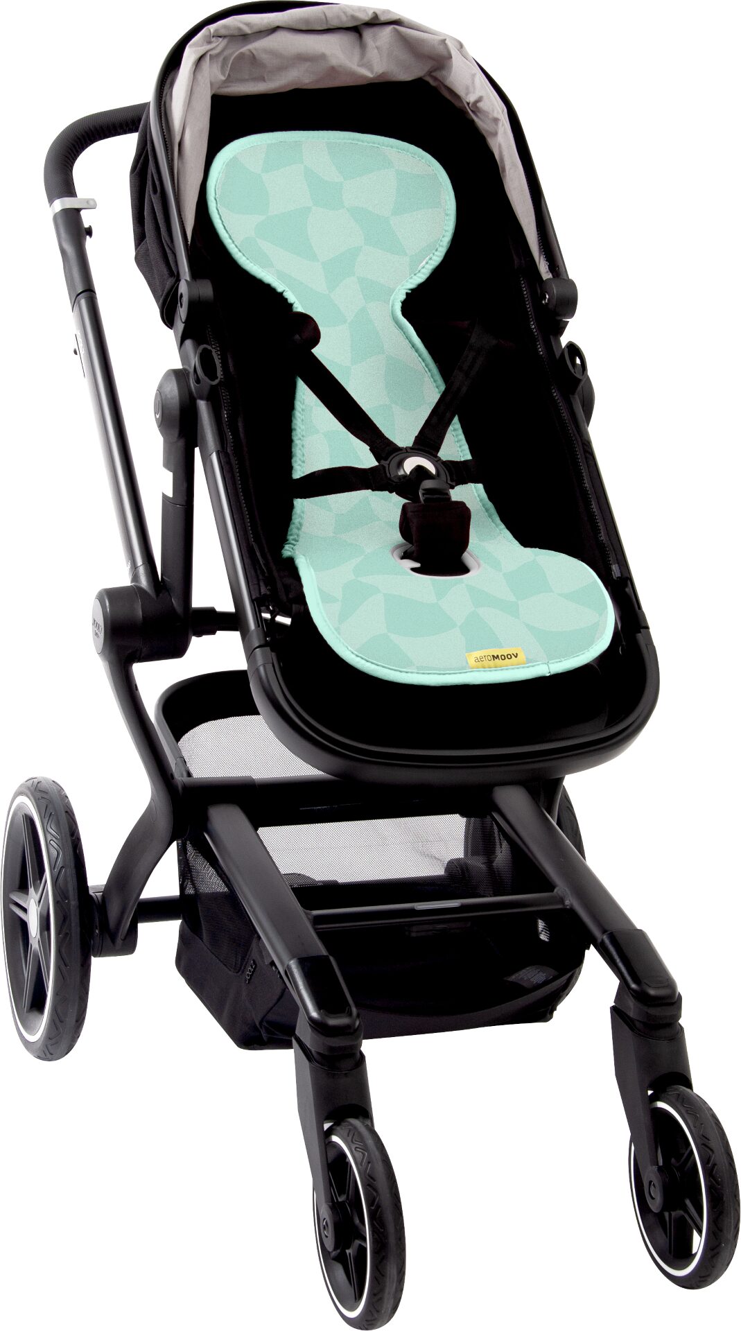 AL B CC buggy AL B CC buggy