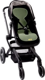 AL B MO buggy 3