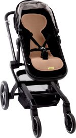 AL B TU buggy 2
