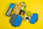 mini lunchbox 1831 Large